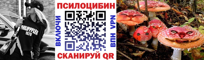 Галлюциногенные грибы MAGIC MUSHROOMS  Купить закладки  Поворино 